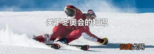 关于冬奥会的知识