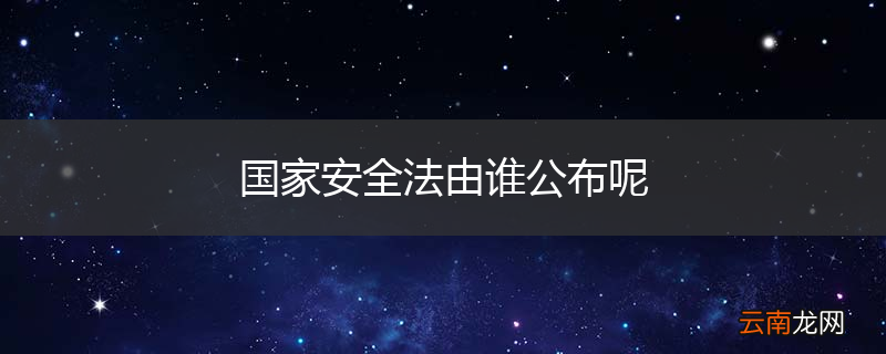 国家安全法由谁公布呢
