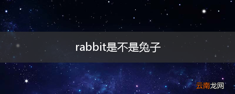 rabbit是不是兔子