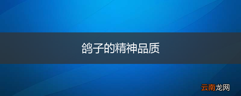 鸽子的精神品质