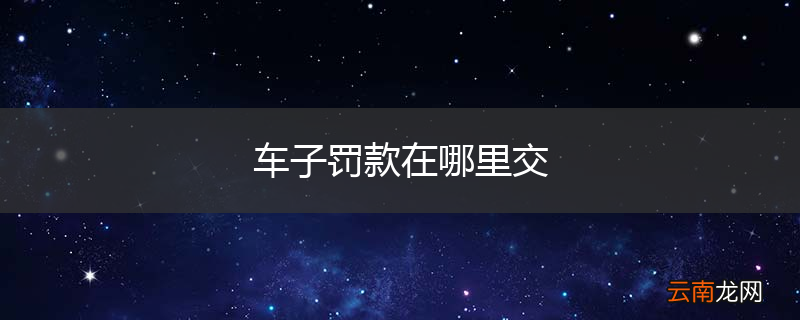 车子罚款在哪里交