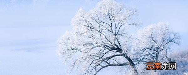 冻害发生的原因 产生冻害的原因有哪些