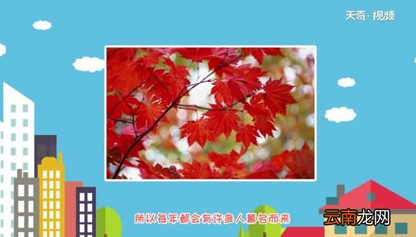 香山红叶几月份好看 香山在哪个城市