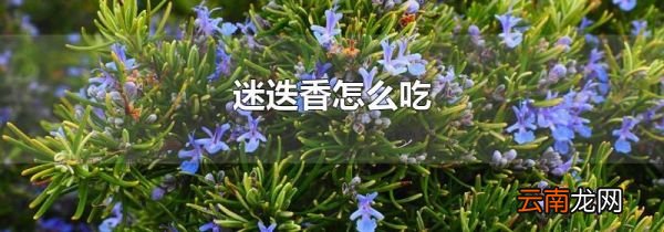 迷迭香怎么吃