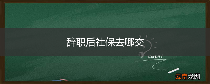 辞职后社保去哪交