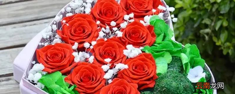 九朵花什么意思