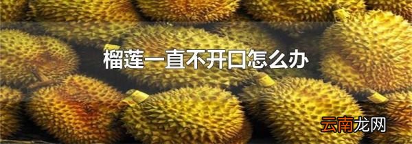榴莲一直不开口怎么办