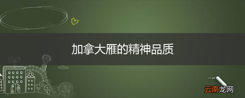 加拿大雁的精神品质