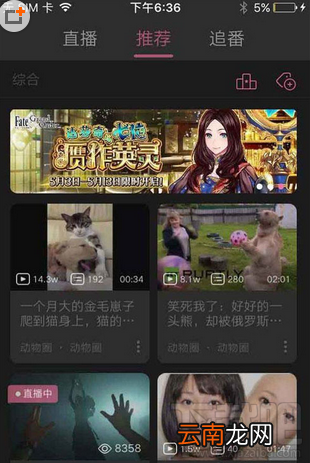哔哩哔哩怎么举报弹幕?哔哩哔哩举报弹幕方法