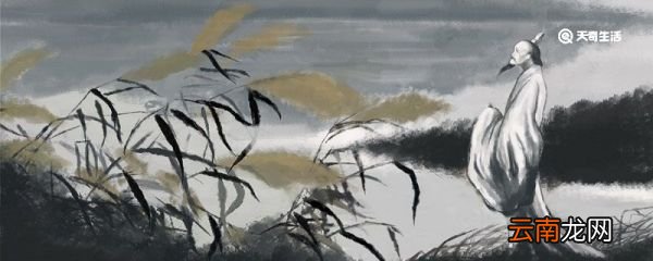 廉颇老矣,尚能饭否表达了诗人什么感情 廉颇老矣,尚能饭否怎么理解