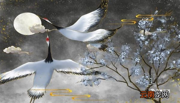 惊鸿宴是什么意思啊 远赴人间惊鸿宴是什么意思