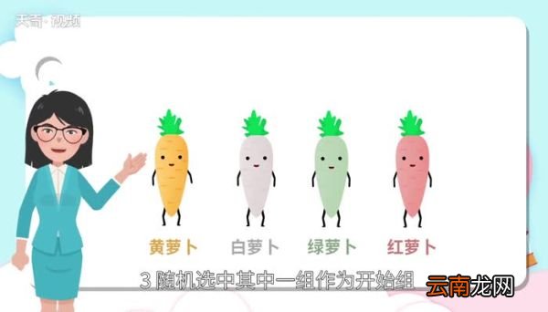 萝卜蹲游戏规则 萝卜蹲怎么玩