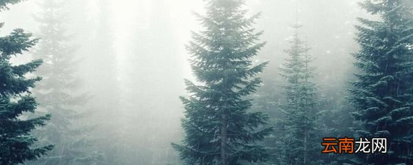 早蛩啼复歇拼音 古诗夜雨拼音版
