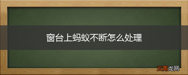 窗台上蚂蚁不断怎么处理