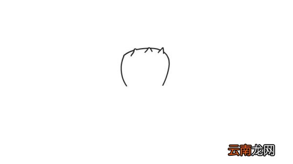 熊童子简笔画
