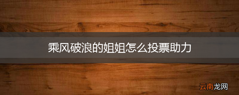 乘风破浪的姐姐怎么投票助力