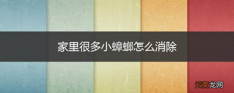 家里很多小蟑螂怎么消除