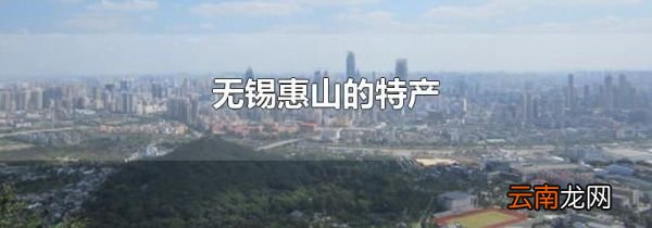 无锡惠山的特产