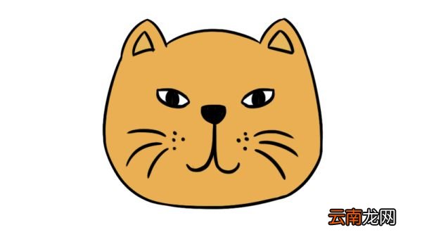 猫头简笔画 猫头的简单画法