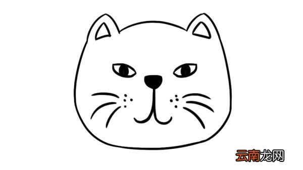 猫头简笔画 猫头的简单画法