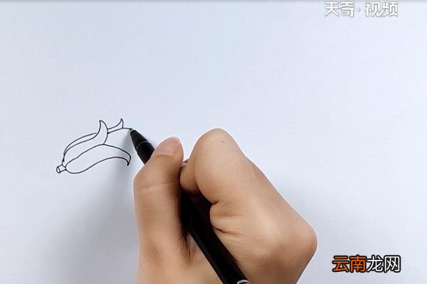 玉米简笔画