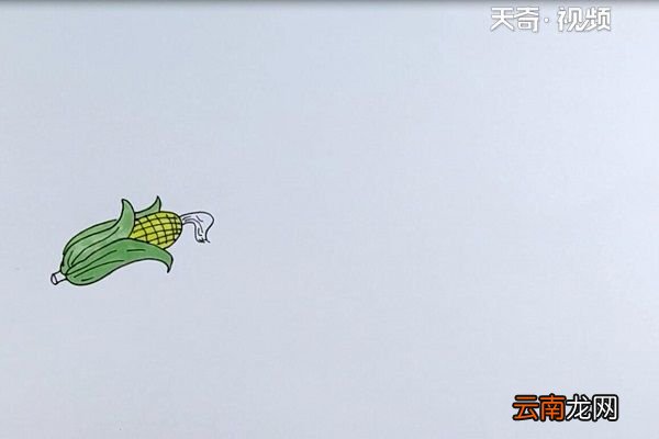 玉米简笔画