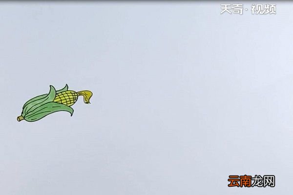 玉米简笔画