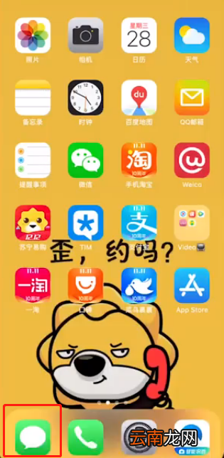 苹果中关闭语音信箱的操作教程