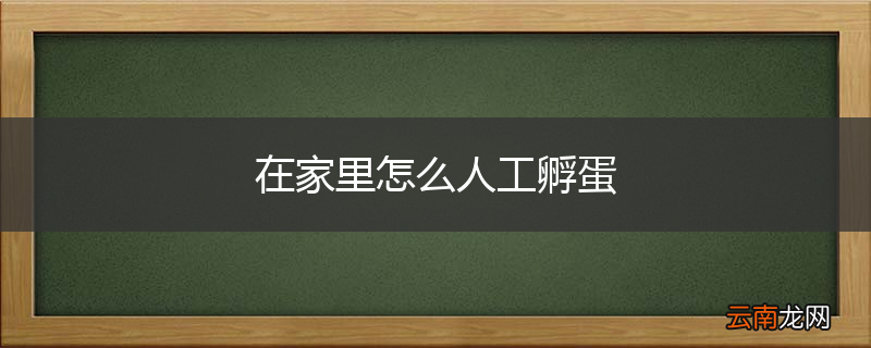 在家里怎么人工孵蛋
