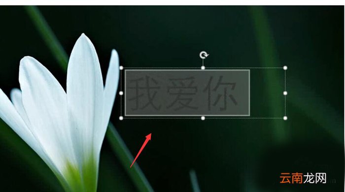 使用PPT制作出动态文字具体操作流程