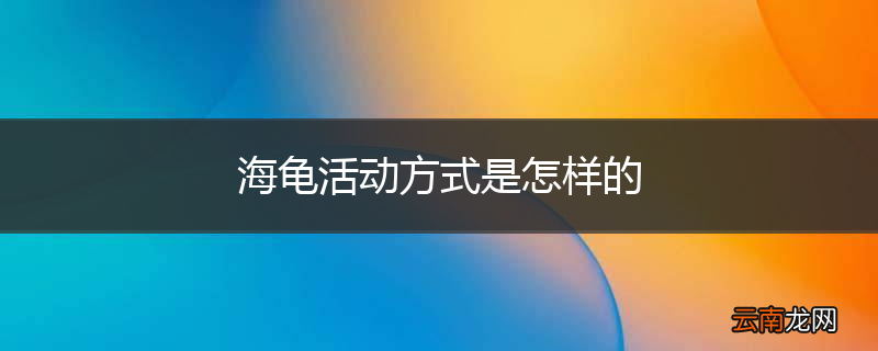 海龟活动方式是怎样的