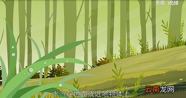白露节气的含义是什么白露是什么意思