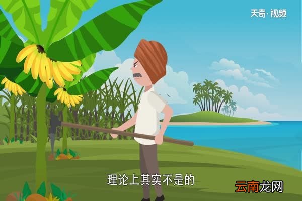 芭蕉和香蕉的区别 芭蕉和香蕉有什么区别