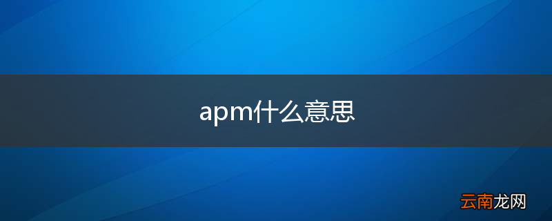 apm什么意思
