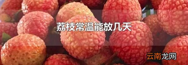 荔枝常温能放几天
