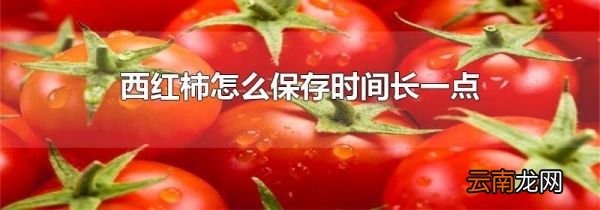 西红柿怎么保存时间长一点