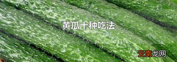 黄瓜十种吃法