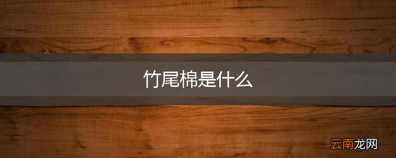 竹尾棉是什么