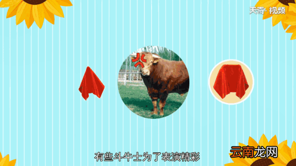 牛为什么看到红色就会冲上去 牛为何看到红色就会冲上去