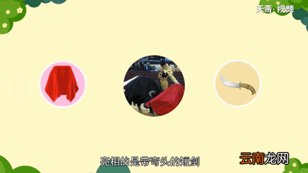 牛为什么看到红色就会冲上去 牛为何看到红色就会冲上去