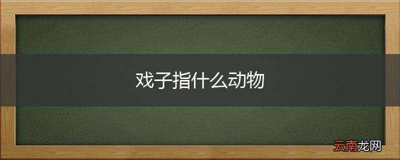 戏子指什么动物