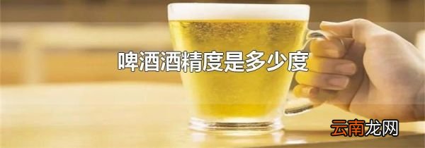 啤酒酒精度是多少度