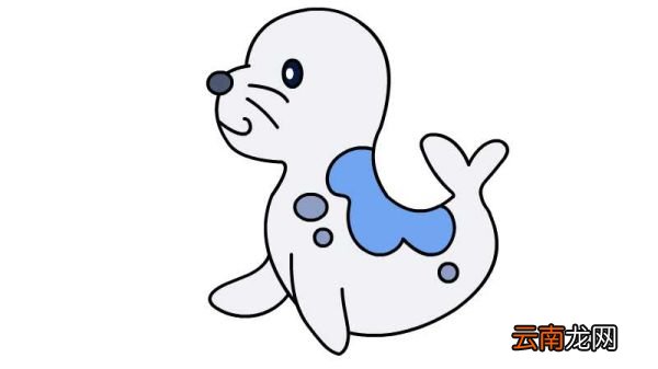 小海豹简笔画的画法小海豹简笔画的步骤