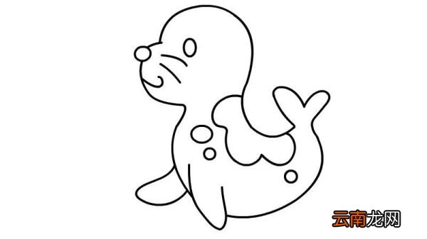 小海豹简笔画的画法小海豹简笔画的步骤