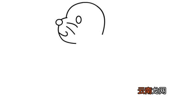 小海豹简笔画的画法小海豹简笔画的步骤