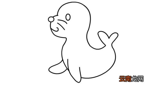 小海豹简笔画的画法小海豹简笔画的步骤