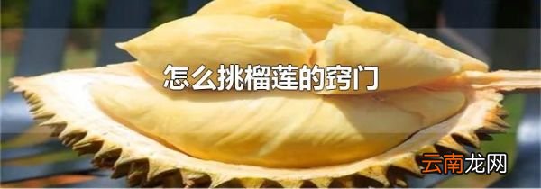 怎么挑榴莲的窍门