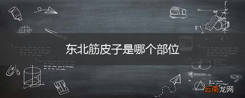 东北筋皮子是哪个部位
