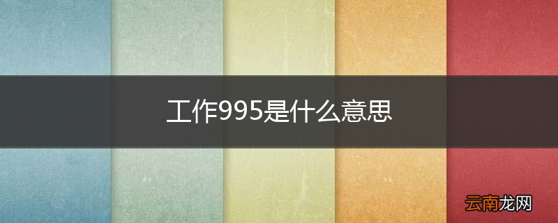 工作995是什么意思