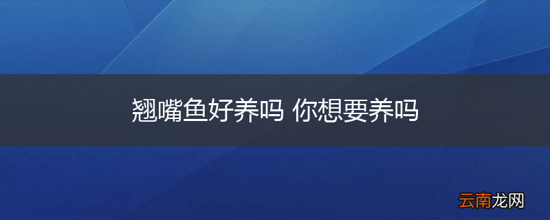 翘嘴鱼好养吗 你想要养吗